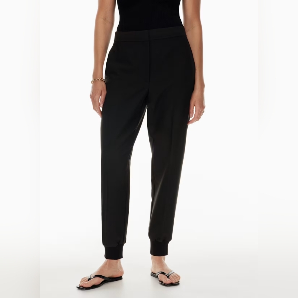 Aritzia Babaton Allegory Jogger size 4 BNWT - Picture 2 of 11